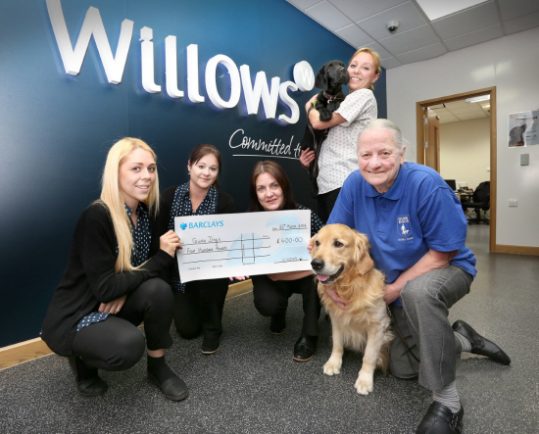 the willows vets