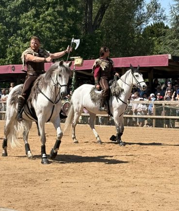 review-viking-raiders-invade-warwick-castle-the-solihull-observer