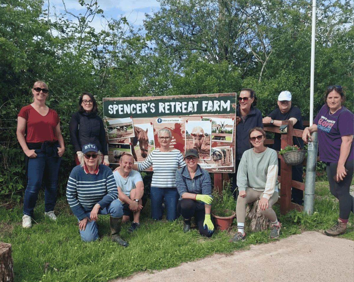 Legal team swap screens for farmyard
